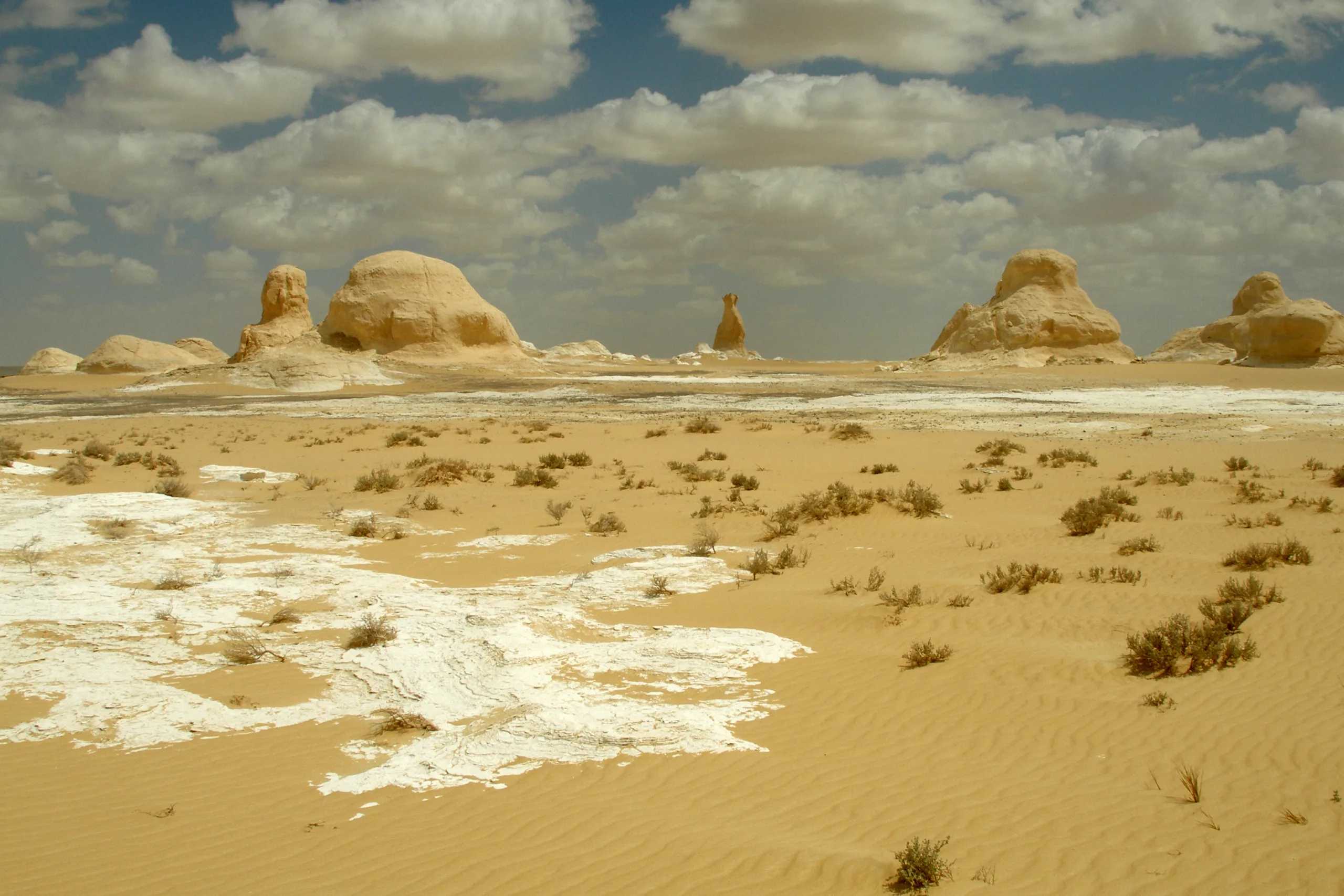 White Desert National Park