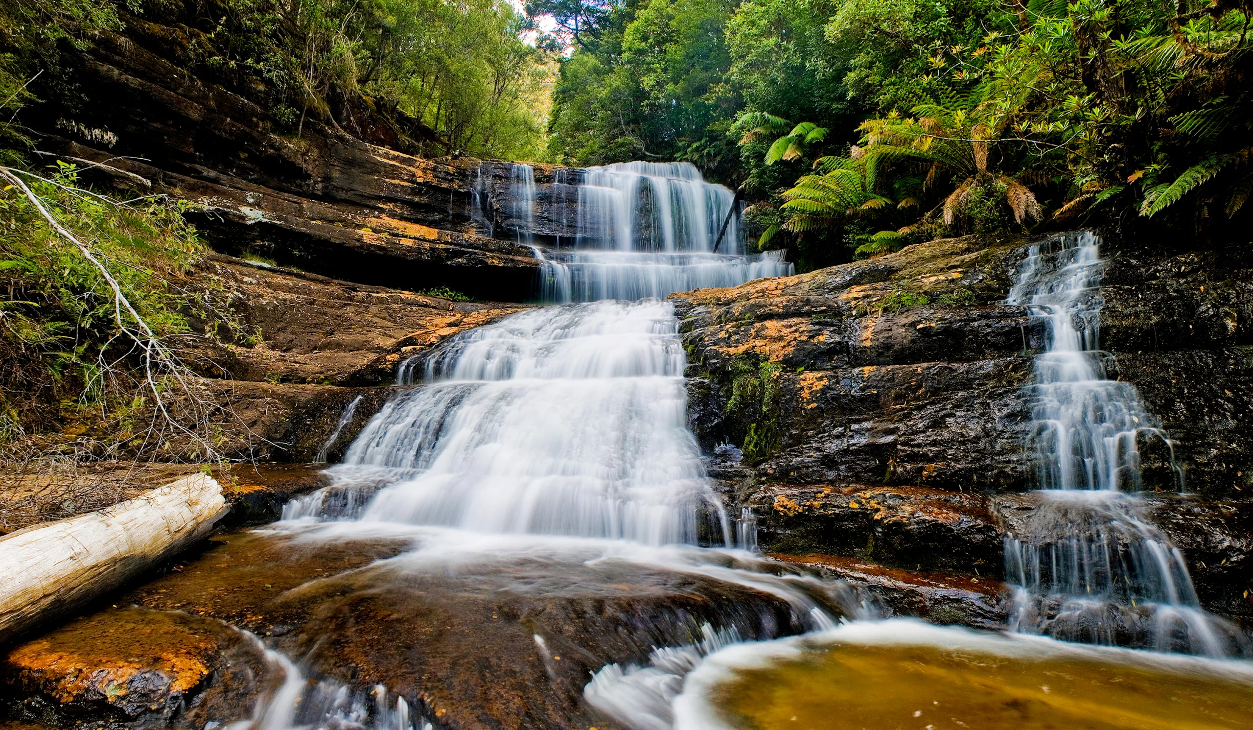 Mount Field National Park
