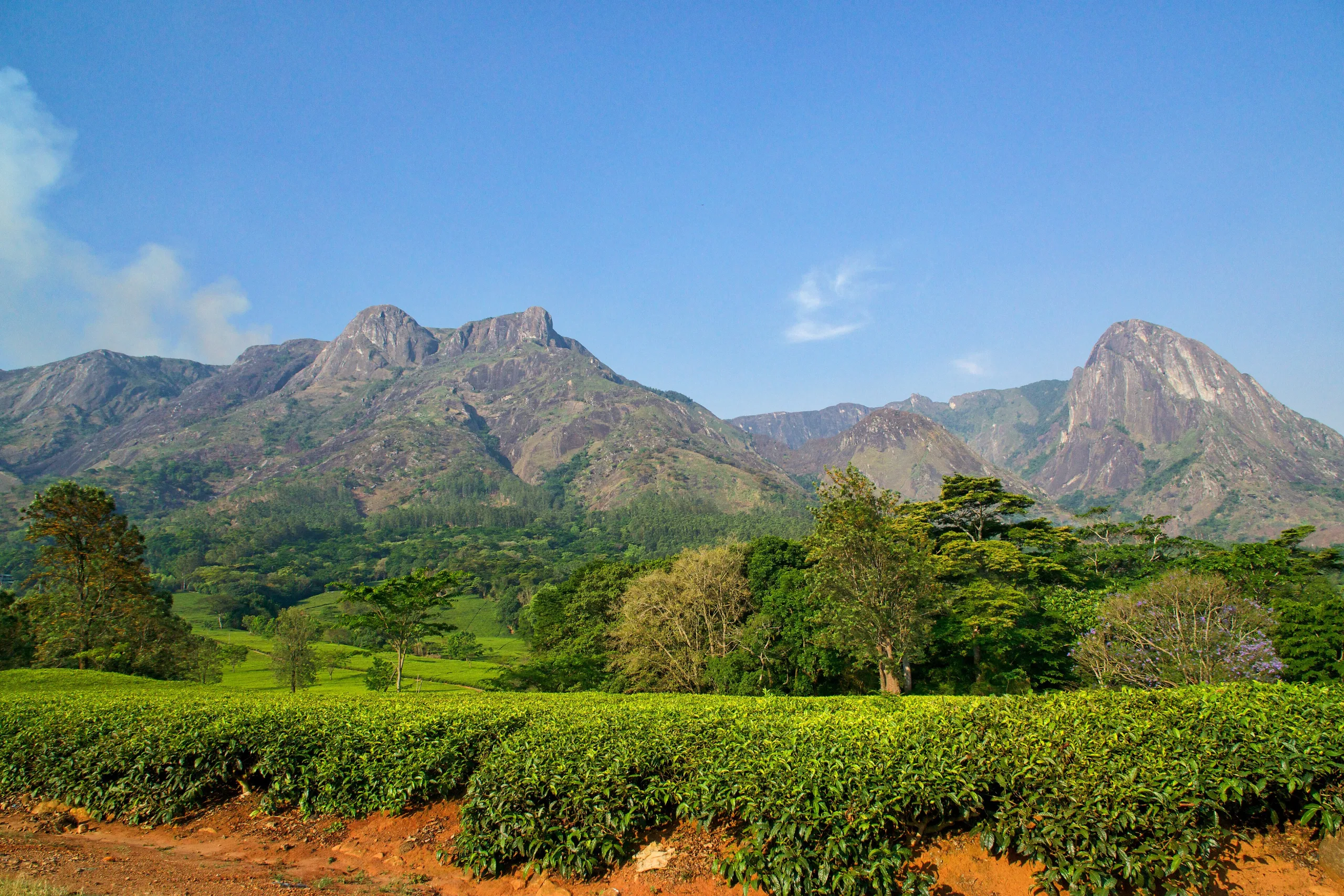 Mulanje Massif