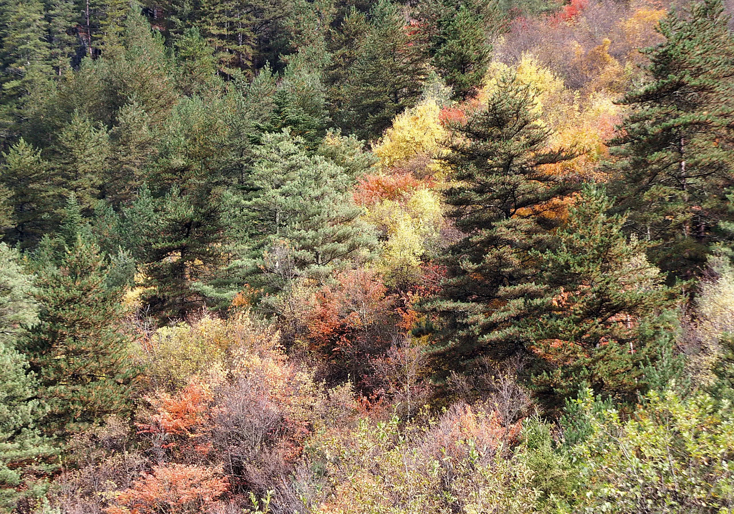 Jiuzhaigou Valley