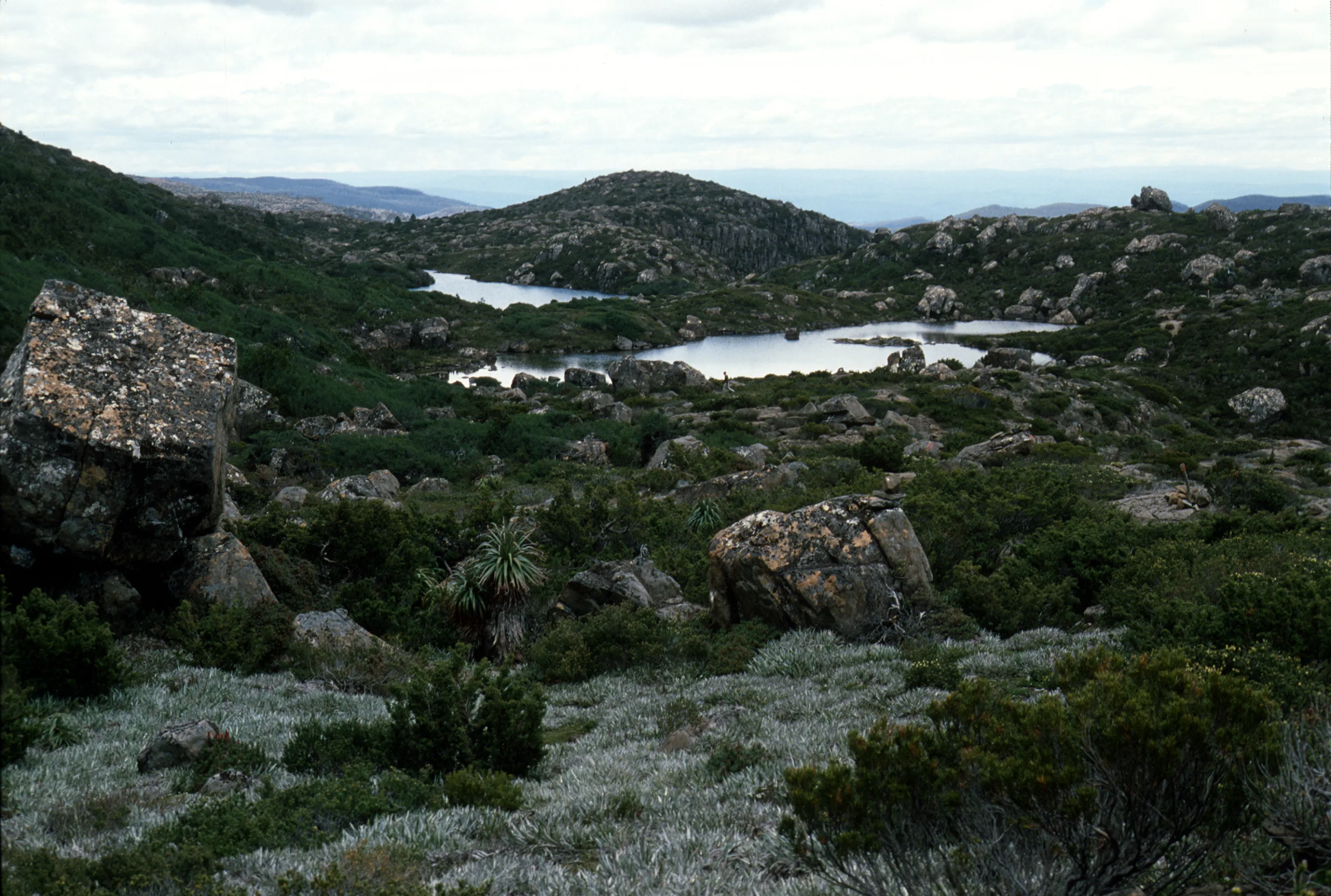 Mount Field National Park