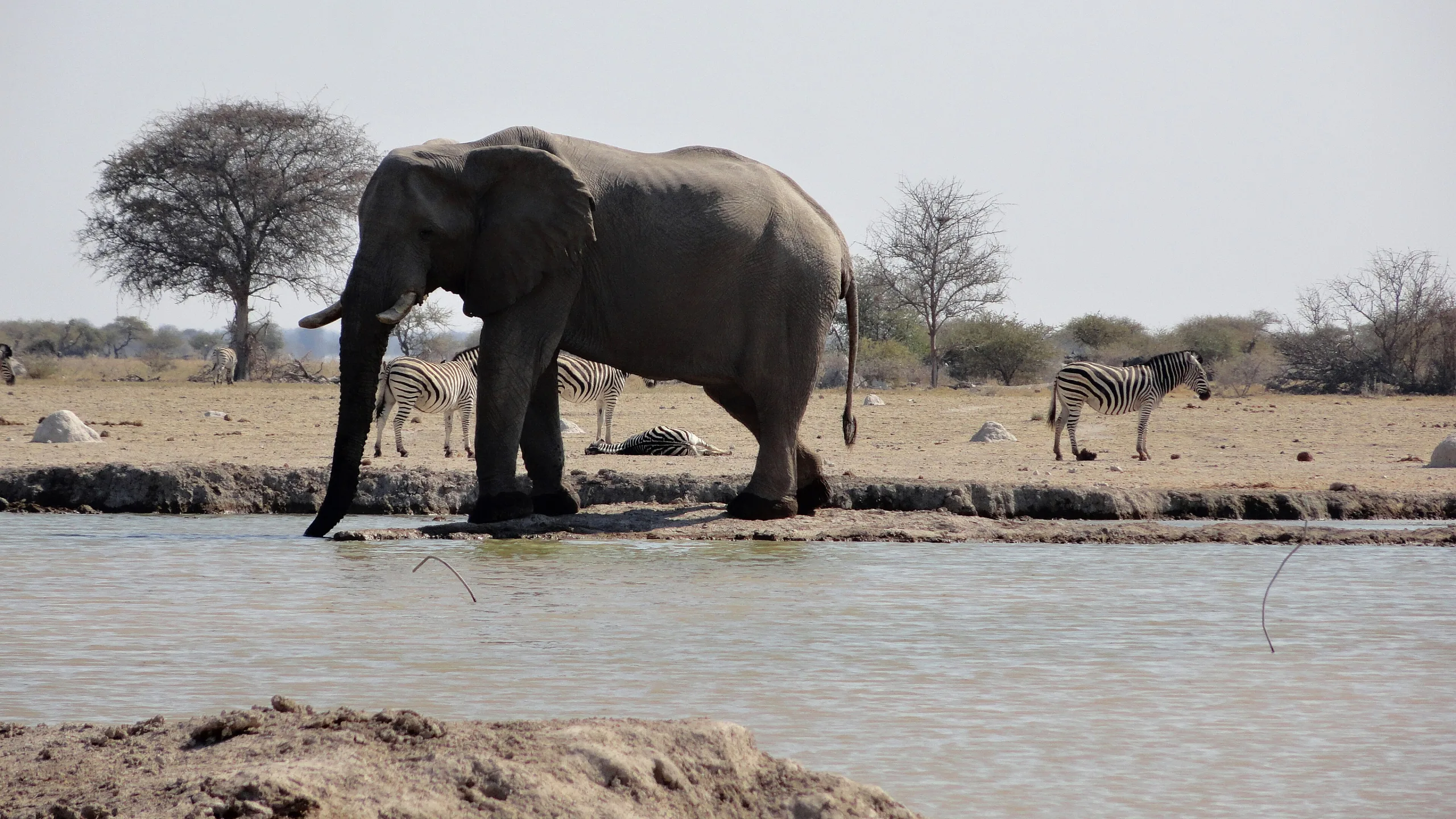 Nxai Pan National Park