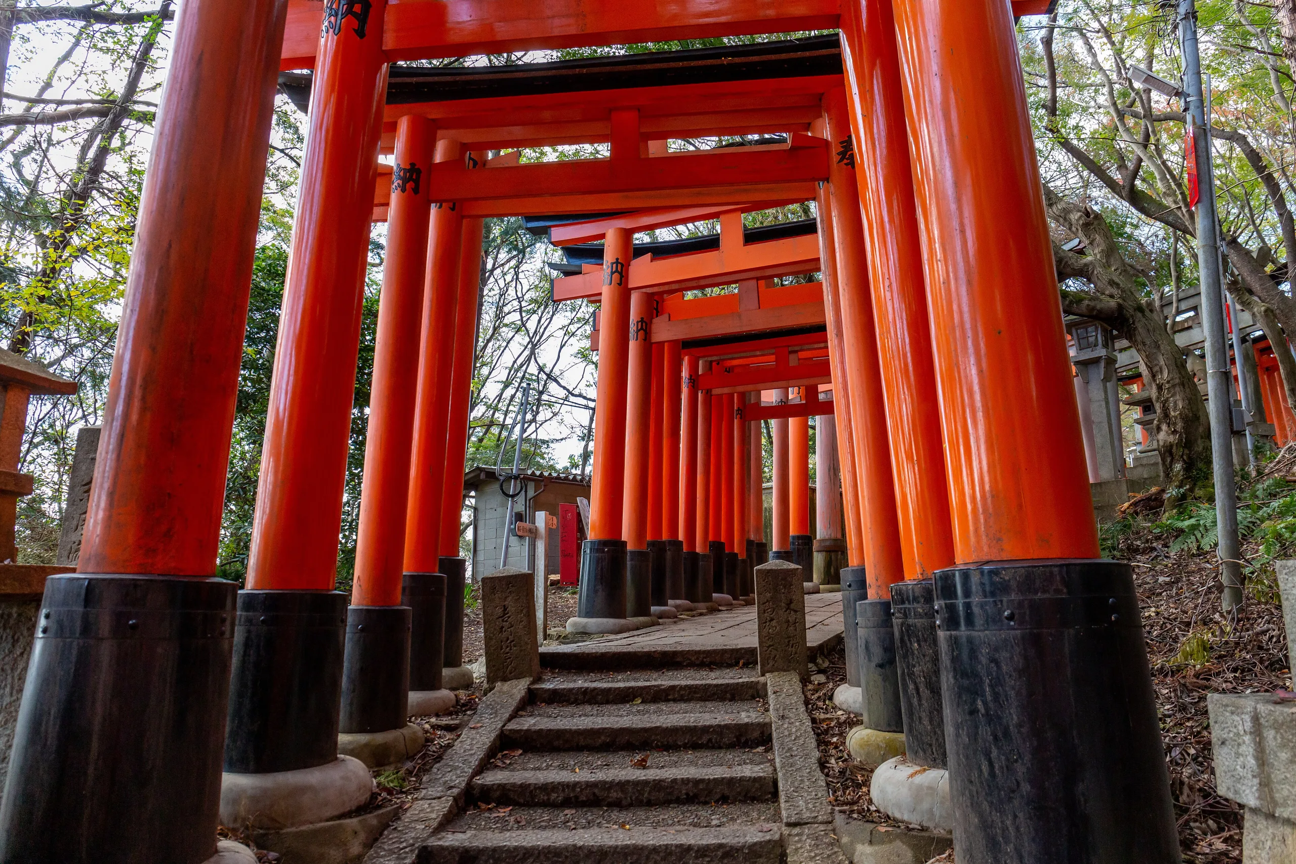 Fushimi Inari-taisha